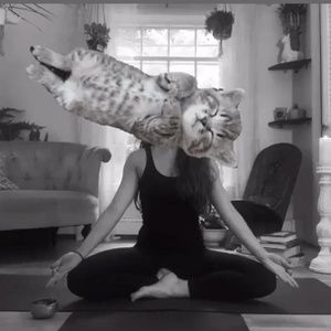 Meet your Posher, Eglė